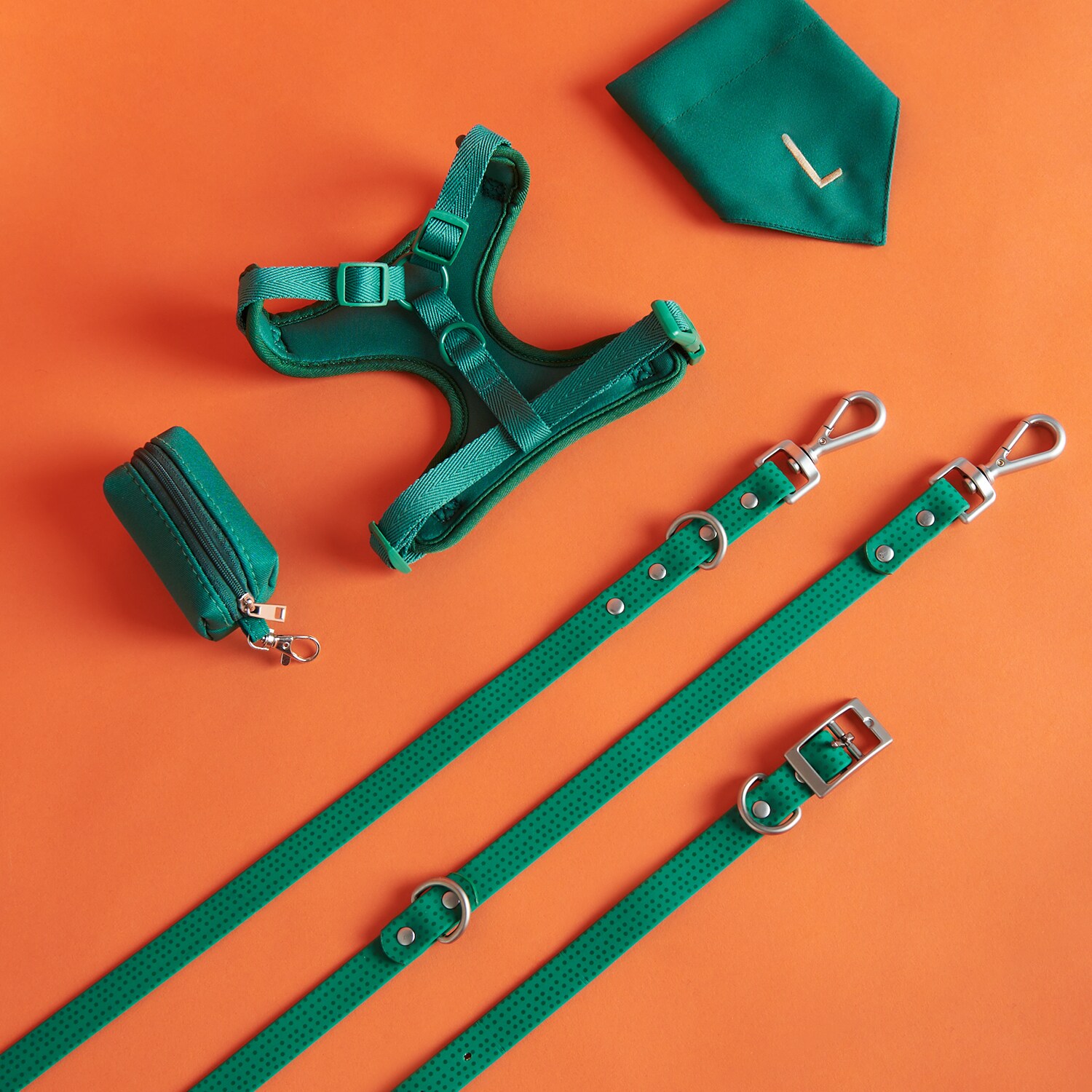 Reserved – Zgardă pentru câine – Verde accessories imagine noua 2022