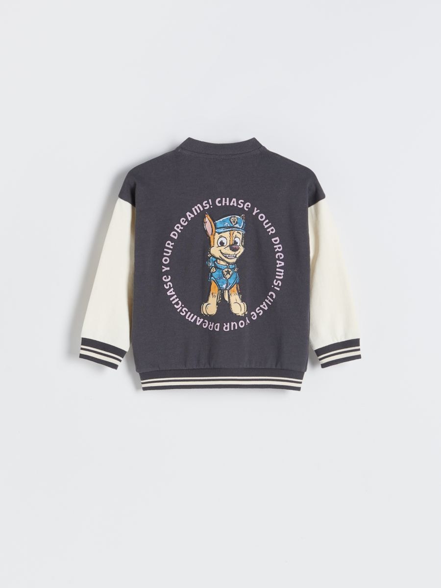 Store Reserved Paw Patrol Sweatshirt