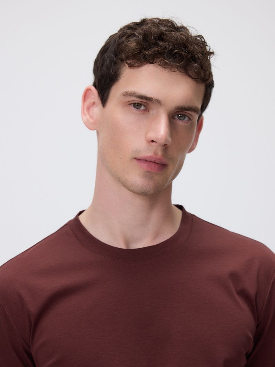 Regular fit T-shirt with modal blend - mahogany - RESERVED - 5