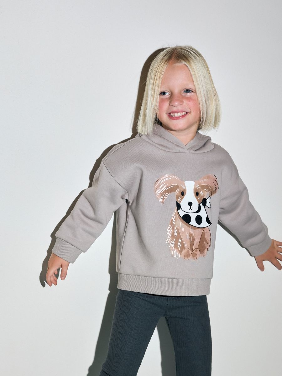 Sweatshirt with appliqué - light grey - RESERVED - 3