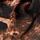 Scrunchies 3 pack - multicolor