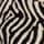 Zebra motif skirt - multicolor