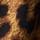 Haarspange mit Tierprint - bunt