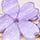 Set of 6 hairpins - multicolor