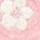 GIRLS` SOCKS MULTI - multicolor