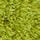 Grinch slippers - yellow green